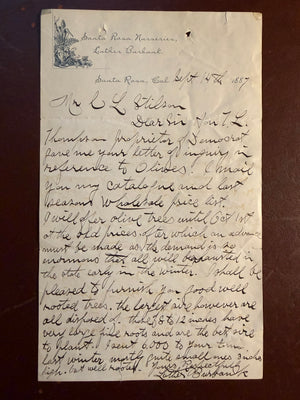 Luther Burbank—1887 Handwritten Letter Signed on Olive Trees and California’s Booming Nursery Trade
