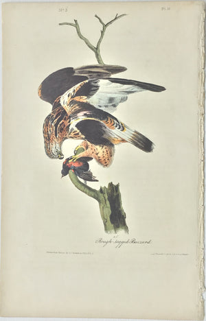 Audubon Octavo 1st Edition Rough-legged Buzzard plate 11